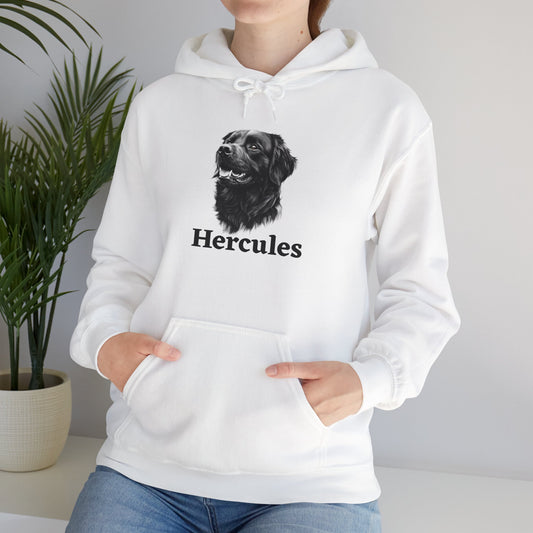 Personalized Pet Cartoon Hoodie